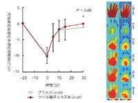 カメリアサポニンB2は末梢部位(手指)の体温を回復!