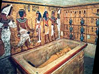 同シードはエジプト ファラオツタンカーメンの墓でも発見されました