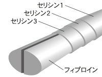 シルクパウダー（絹の層状構造）