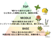 3段階の香りの変化が、オリジナルさを生み出す。