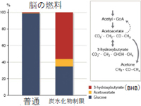 脳や心臓などの様々な病気の予防から健康上の利点を提供