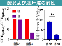 in vitroでのプロバイオティック特性(1)