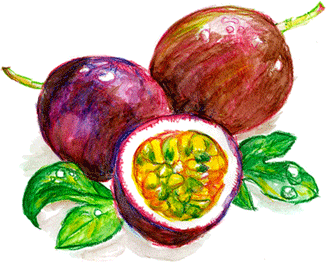 パッションフルーツ（Passionfruit）　の原料、素材